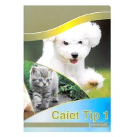 Caiet Tip I Premium, 24 file, Silence Gold, hartie 80g/mp