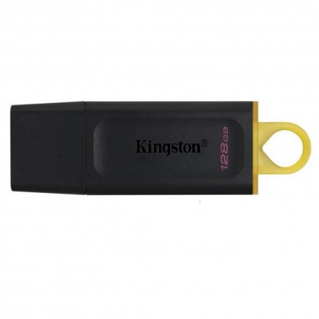 Memorie USB Kingston DTX 128 GB, USB 3.2