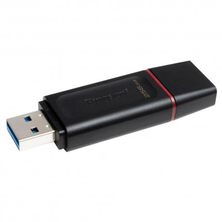 Memorie USB Kingston DTX 256 GB, USB 3.2