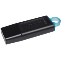 USB flash drive Kingston DTX 64 GB, USB 3.2