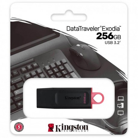 Memorie USB Kingston DTX 256 GB, USB 3.2