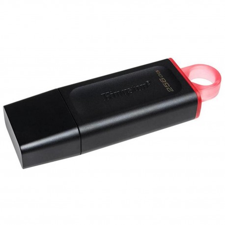 USB flash drive Kingston DTX 256 GB, USB 3.2