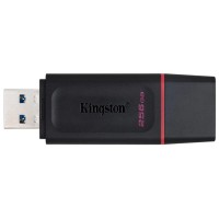 Memorie USB Kingston DTX 256 GB, USB 3.2