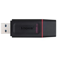 USB flash drive Kingston DTX 256 GB, USB 3.2