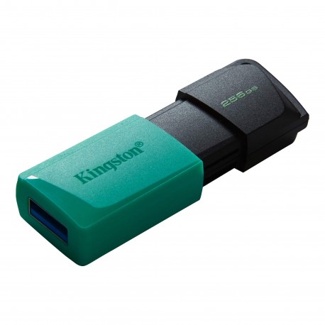 USB flash drive Kingston Data Traveller Exodia M, 256 GB, USB 3.2