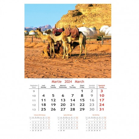 Calendar 2024 cu imagini, 31x48cm - Holidays