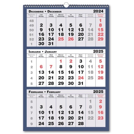 Calendar triptic 2025, 3 culori, 33x48 cm, cursor, albastru