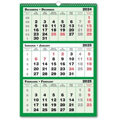 Calendar triptic 2025, 3 culori, 33x48 cm, cursor, verde