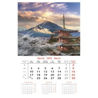 Calendar 2025 cu imagini, 31x48cm - Holidays