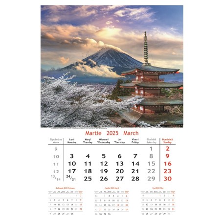 Calendar 2025 cu imagini, 31x48cm - Holidays