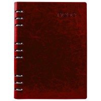 Agenda organizer B5 cu inele Nebo